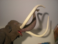 DSCN3337.jpg