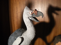 DSCN3377.jpg