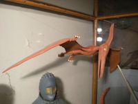 DSCN3411.jpg