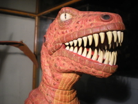 DSCN3424.jpg