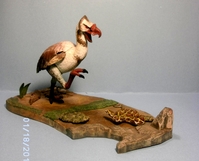 GiantBirdright.JPG