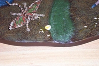 MARKbird3.JPG
