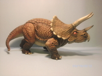TriceratopsRIght.JPG