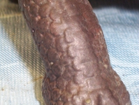 arm08.JPG