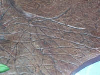 arm13.JPG