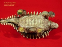 armordino6.jpg