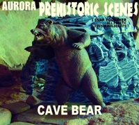 bear1~0.jpg