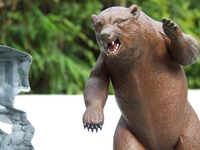 bear2.jpg