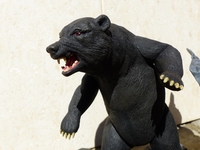 benfarnambear2.jpg