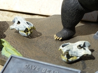 benfarnambear3.jpg