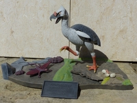benfarnambird1.jpg