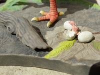 benfarnambird5.jpg
