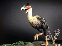 bird1~3.jpg