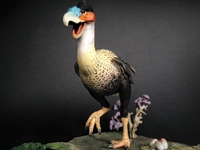 bird2~3.jpg
