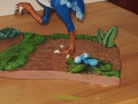 bird3.jpg