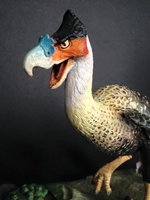 bird3~2.jpg