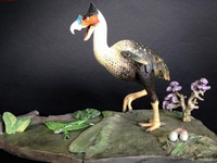 bird4~2.jpg