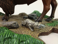bisondetail4.jpg