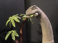 bronto01.jpg