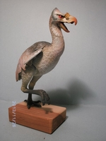bruceengbird2.jpg
