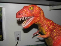 chinxrex01.jpg