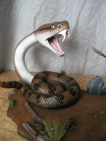 csnake02.jpg
