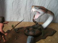 csnake07.jpg