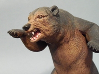 damienbear01.jpg