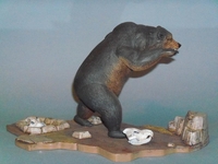 damienbear03.jpg