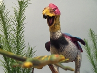 damienbird03.jpg