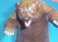 dbearface.JPG