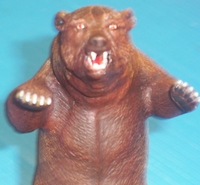 dbearfront.JPG