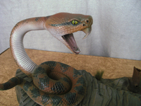 dknesnake5.JPG