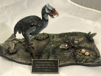 ebaybird10.jpg