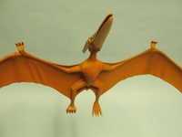 ebaypeach07.jpg