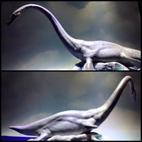 elasmo7.jpg