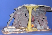 ent13-03.JPG