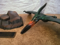 fly09.jpg
