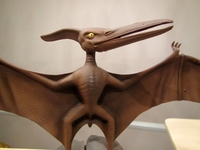 fly2~0.jpg