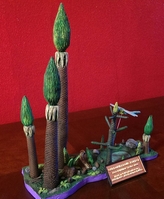 forest5.jpg