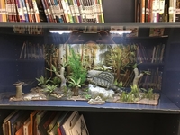 glenlusebrinkdisplay02~0.jpg