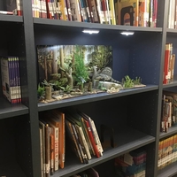 glenlusebrinkdisplay03~0.jpg
