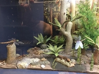 glenlusebrinkdisplay08.jpg
