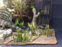 glenlusebrinkdisplay09.jpg