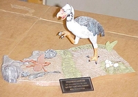 latbird1.JPG