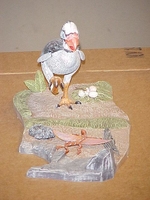 latbird2.JPG