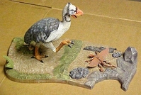 latbird4.JPG