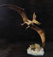 martinfly1.jpg