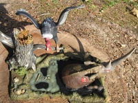 mattmckeeby56.jpg