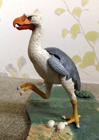 mfiebird3.jpg